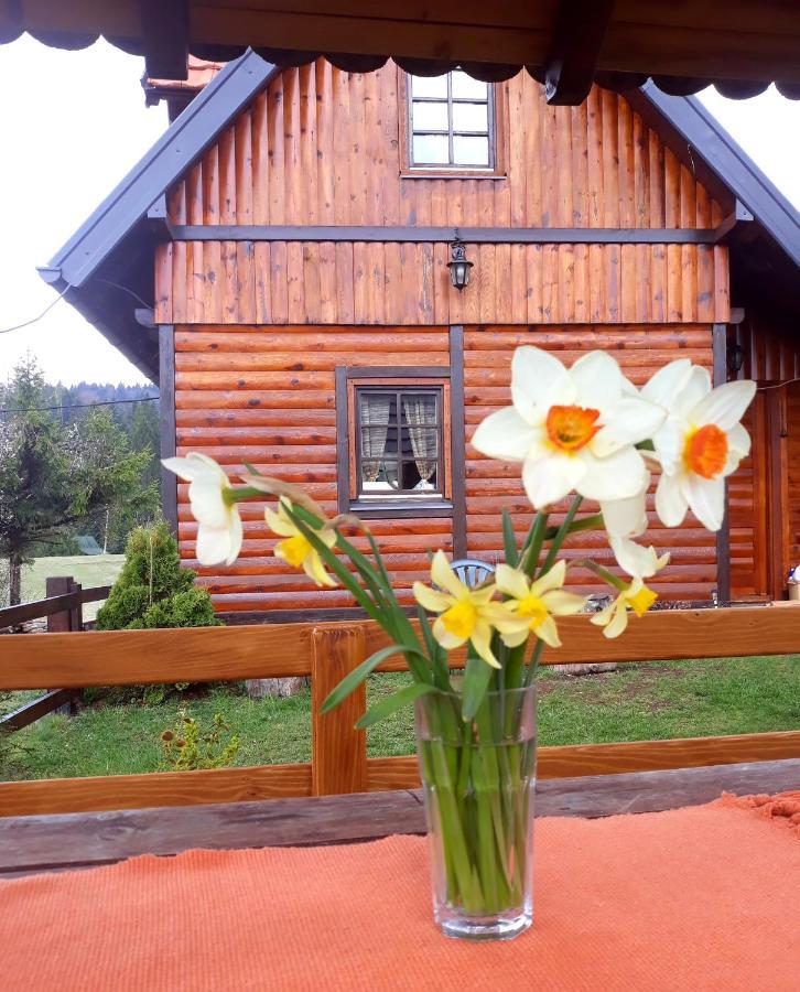 Brvnare Na Brdu Sljivovica (Zlatibor) Exterior foto