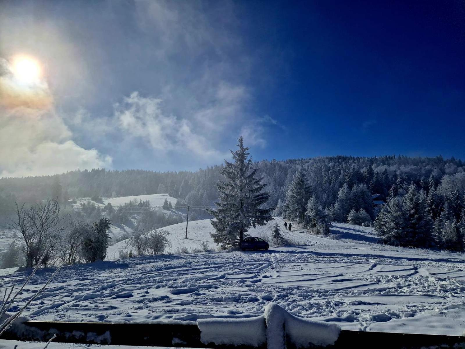 Brvnare Na Brdu Sljivovica (Zlatibor) Exterior foto