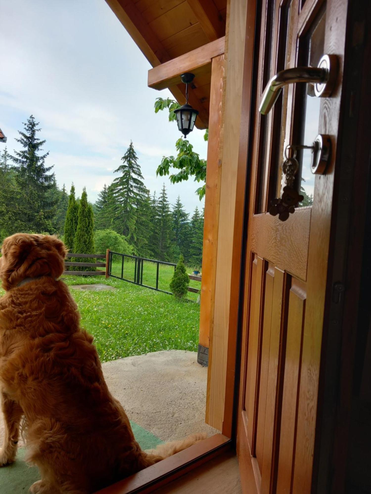 Brvnare Na Brdu Sljivovica (Zlatibor) Exterior foto