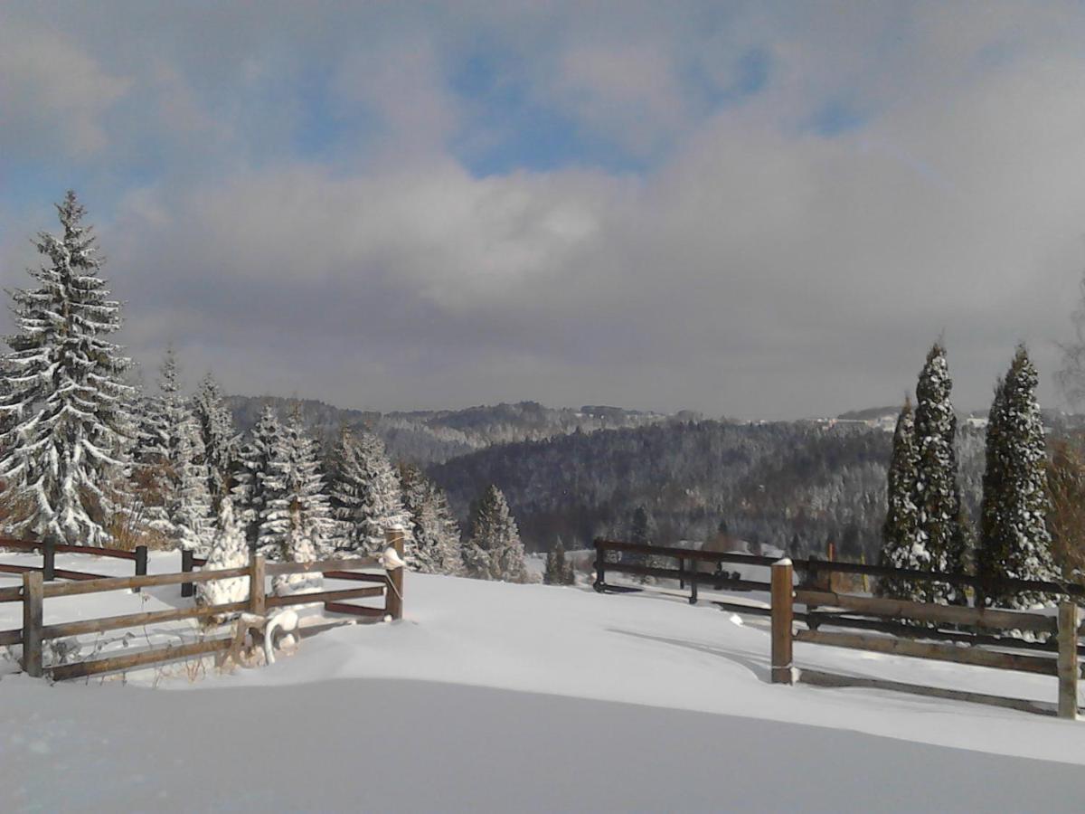 Brvnare Na Brdu Sljivovica (Zlatibor) Exterior foto